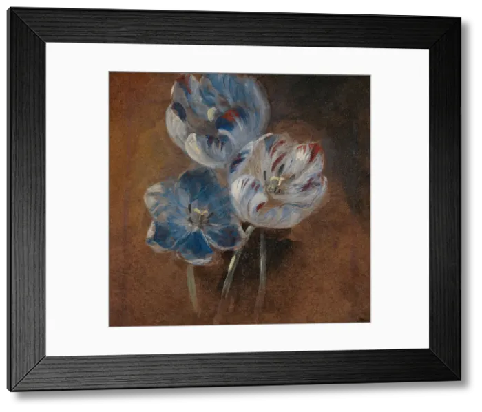 Framed Print : Study of Three Parrot Tulips, ca. 1832. Creator: John Constable