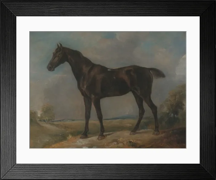 Framed Print : Golding Constables Black Riding-Horse, between 1805 and 1810. Creator: John Constable Framed Print : Golding Constables Black Riding-Horse, between 1805 and 1810. Creator: John Constable
