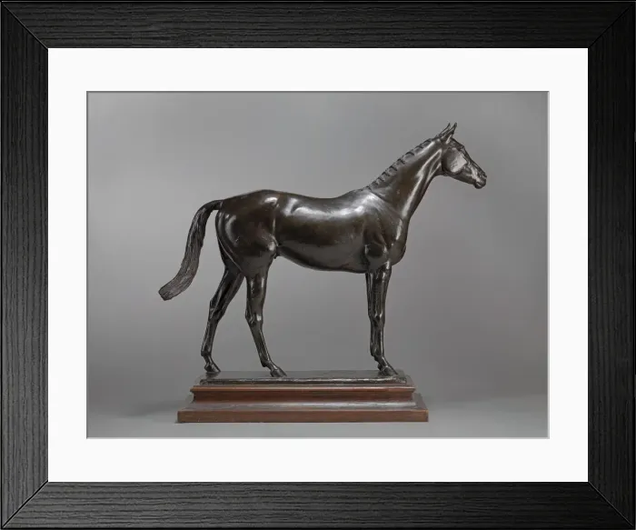 Framed Print : The Tetrarch, ca. 1913. Creator: Adrian Jones Framed Print : The Tetrarch, ca. 1913. Creator: Adrian Jones