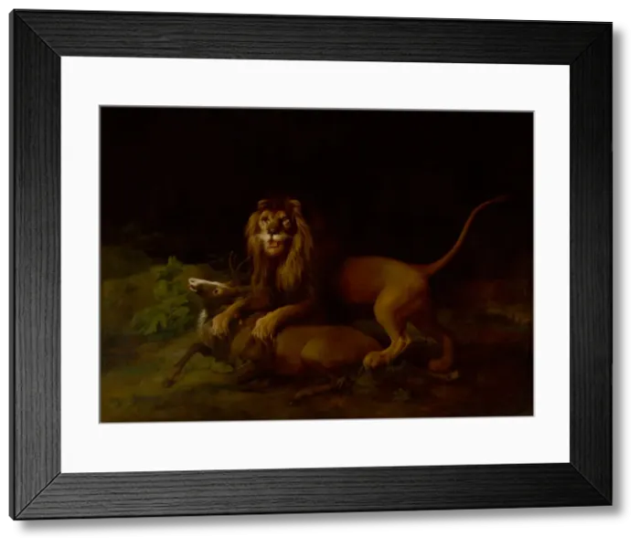 Framed Print : A Lion Attacking a Stag, between 1765 and 1766. Creator: George Stubbs Framed Print : A Lion Attacking a Stag, between 1765 and 1766. Creator: George Stubbs