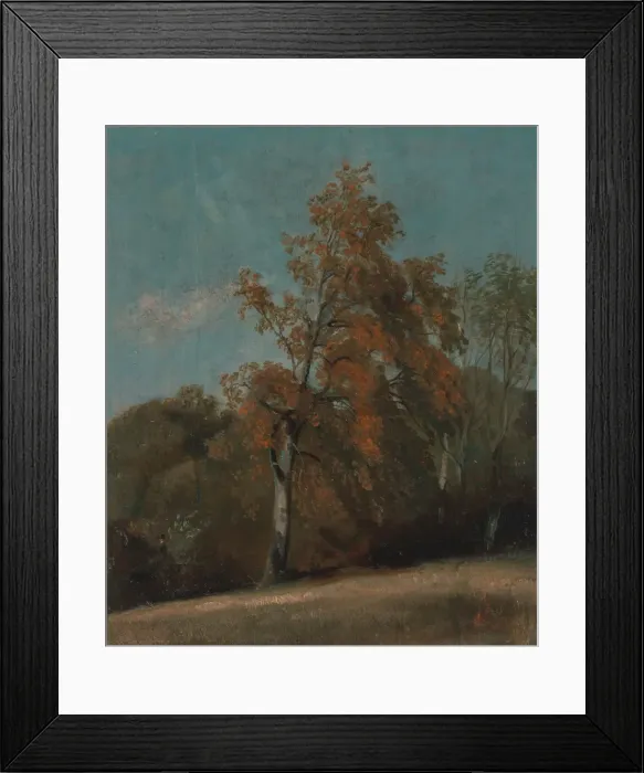 Framed Print : Study of an Ash Tree, between 1801 and 1803 or between 1810 and 1830 Framed Print : Study of an Ash Tree, between 1801 and 1803 or between 1810 and 1830