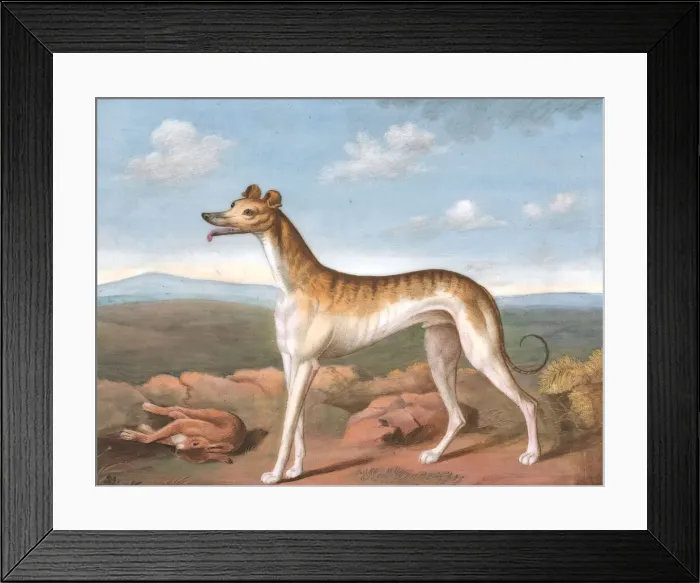 Framed Print : Greyhound: Facing Left, with a Dead Hare at His Feet, ca. 1805. Creator: Unknown Framed Print : Greyhound: Facing Left, with a Dead Hare at His Feet, ca. 1805. Creator: Unknown