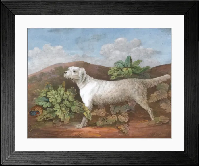 Framed Print : A Setter: Facing Left, with a Partridge Hiding among Burdocks on the Left, ca. 1805 Framed Print : A Setter: Facing Left, with a Partridge Hiding among Burdocks on the Left, ca. 1805