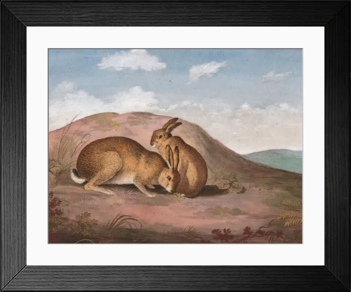 Framed Print : Two Hares: On a Hillside, ca. 1805. Creator: Unknown Framed Print : Two Hares: On a Hillside, ca. 1805. Creator: Unknown