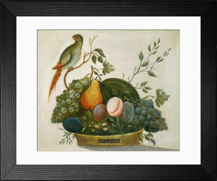 Framed Print : Basket of Fruit with Parrot, 1777. Creator: A. M. Randall Framed Print : Basket of Fruit with Parrot, 1777. Creator: A. M. Randall