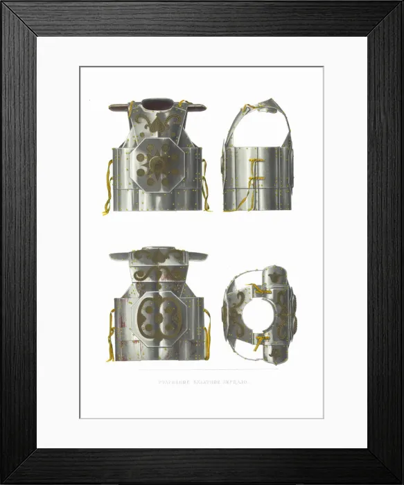 Framed Print : Mirror armour. From the Antiquities of the Russian State, 1849-1853 Framed Print : Mirror armour. From the Antiquities of the Russian State, 1849-1853