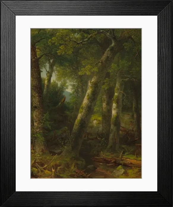 Framed Print : Forest in the Morning Light, c. 1855. Creator: Asher Brown Durand Framed Print : Forest in the Morning Light, c. 1855. Creator: Asher Brown Durand