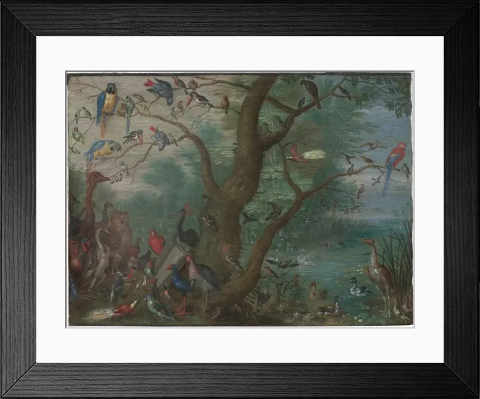Framed Print : Concert of Birds, 1660 / 1670. Creator: Anon Framed Print : Concert of Birds, 1660 / 1670. Creator: Anon