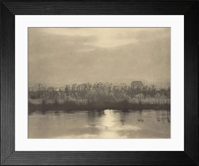Framed Print : Rime Crystals, in or before 1895. Creator: Dr Peter Henry Emerson Framed Print : Rime Crystals, in or before 1895. Creator: Dr Peter Henry Emerson