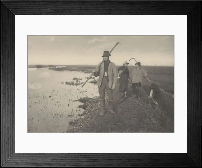 Framed Print : Coming Home from the Marshes, 1886. Creators: Dr Peter Henry Emerson