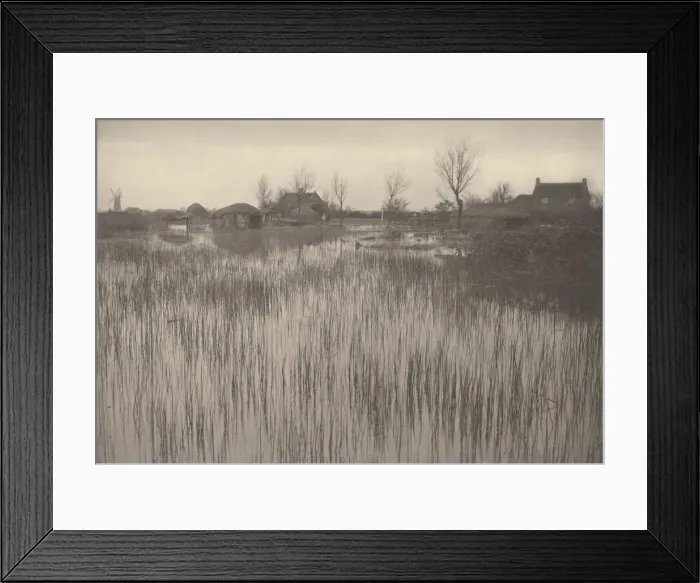 Framed Print : A Rushy Shore, 1886. Creator: Dr Peter Henry Emerson Framed Print : A Rushy Shore, 1886. Creator: Dr Peter Henry Emerson