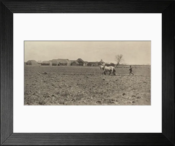 Framed Print : Marsh Farm in Early Spring, 1890-1891, printed 1893. Creator: Dr Peter Henry Emerson Framed Print : Marsh Farm in Early Spring, 1890-1891, printed 1893. Creator: Dr Peter Henry Emerson