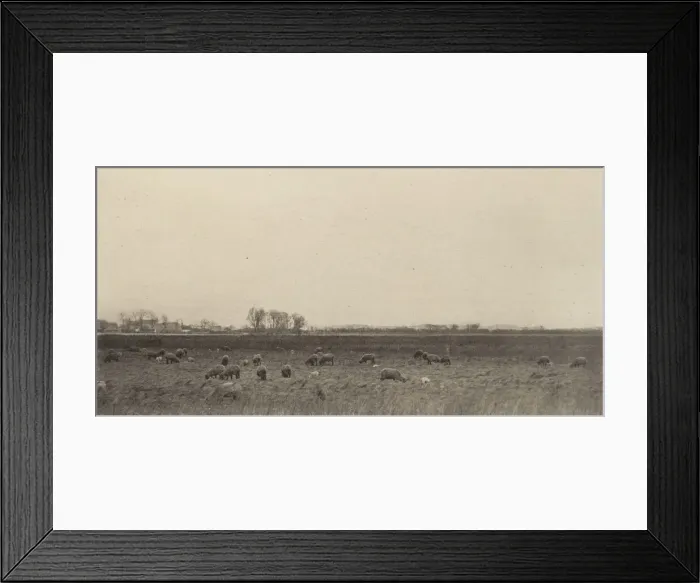 Framed Print : Marshes by the North Sea, 1890-1891, printed 1893. Creator: Dr Peter Henry Emerson Framed Print : Marshes by the North Sea, 1890-1891, printed 1893. Creator: Dr Peter Henry Emerson