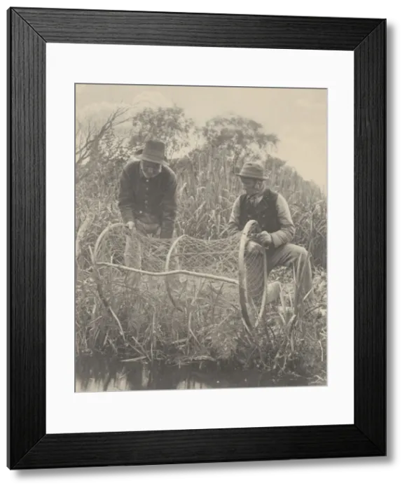Framed Print : Setting Up the Bow-Net, 1886. Creator: Dr Peter Henry Emerson Framed Print : Setting Up the Bow-Net, 1886. Creator: Dr Peter Henry Emerson