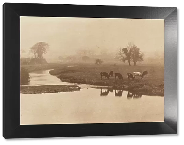 Sheep on the Marshes [Landscape with Cattle], 1890-1891, printed 1893