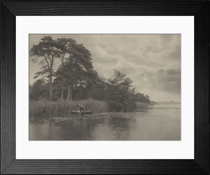 Framed Print : The Haunt of the Pike, 1887. Creator: Dr Peter Henry Emerson Framed Print : The Haunt of the Pike, 1887. Creator: Dr Peter Henry Emerson
