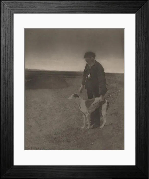 Framed Print : The Poacher-A Hare in View, 1888. Creator: Dr Peter Henry Emerson Framed Print : The Poacher-A Hare in View, 1888. Creator: Dr Peter Henry Emerson