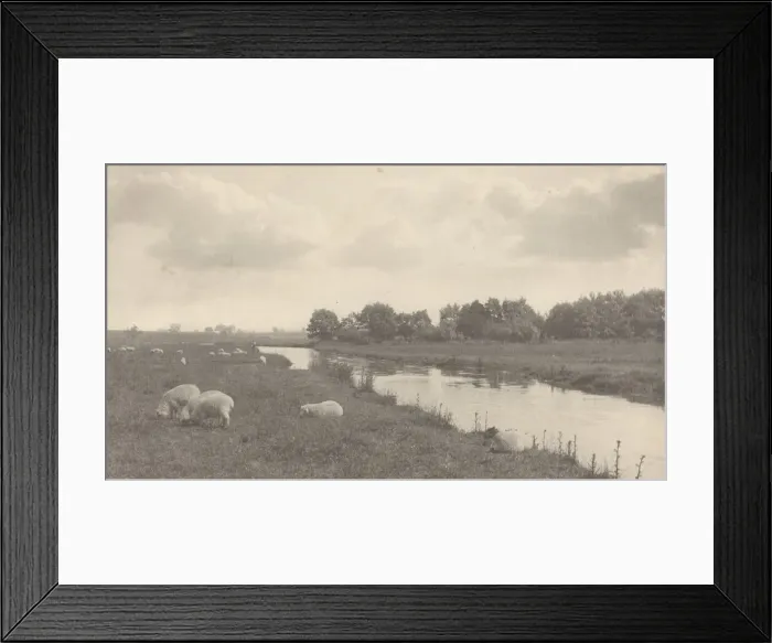 Framed Print : On the River Bure, 1886. Creator: Dr Peter Henry Emerson Framed Print : On the River Bure, 1886. Creator: Dr Peter Henry Emerson