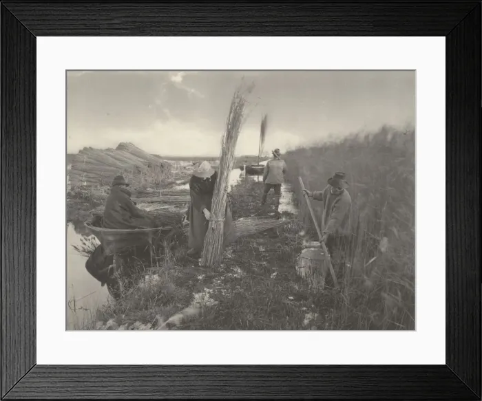 Framed Print : During the Reed-Harvest, 1886. Creators: Dr Peter Henry Emerson, Thomas Frederick Goodall Framed Print : During the Reed-Harvest, 1886. Creators: Dr Peter Henry Emerson, Thomas Frederick Goodall