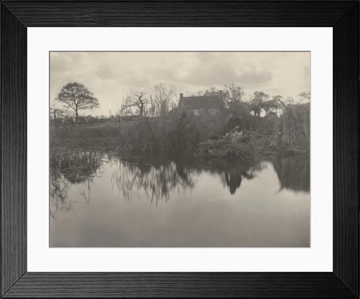Framed Print : Quanting the Gladdon, 1886. Creators: Dr Peter Henry Emerson, Thomas Frederick Goodall Framed Print : Quanting the Gladdon, 1886. Creators: Dr Peter Henry Emerson, Thomas Frederick Goodall
