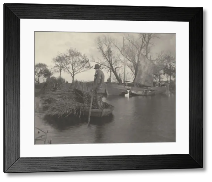 Framed Print : The Gladdon-Cutters Return, 1886. Creators: Dr Peter Henry Emerson Framed Print : The Gladdon-Cutters Return, 1886. Creators: Dr Peter Henry Emerson