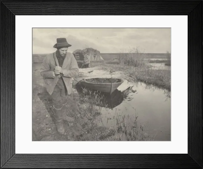 Framed Print : Towing the Reed, 1886. Creators: Dr Peter Henry Emerson, Thomas Frederick Goodall Framed Print : Towing the Reed, 1886. Creators: Dr Peter Henry Emerson, Thomas Frederick Goodall