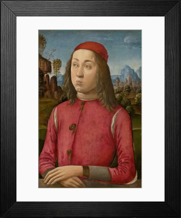 Framed Print : Portrait of a Youth, c. 1495 / 1500. Creators: Agnolo di Domenico di Donnino Framed Print : Portrait of a Youth, c. 1495 / 1500. Creators: Agnolo di Domenico di Donnino