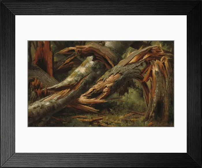 Framed Print : Fallen Tree, 1839 / 1845. Creator: Alexandre Calame Framed Print : Fallen Tree, 1839 / 1845. Creator: Alexandre Calame