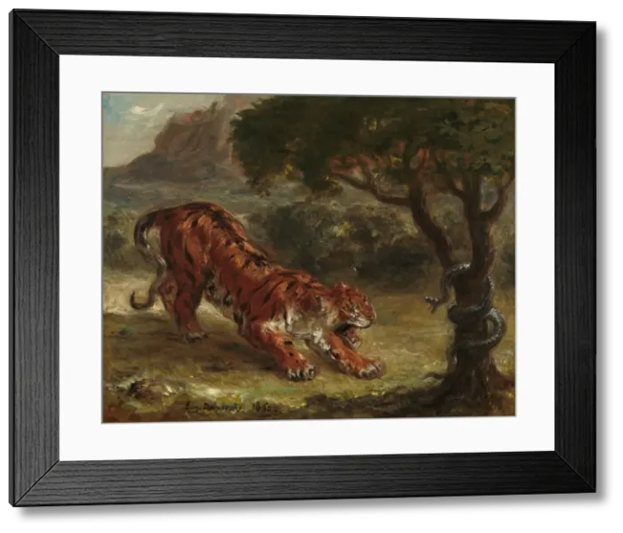 Framed Print : Tiger and Snake, 1862. Creator: Eugene Delacroix Framed Print : Tiger and Snake, 1862. Creator: Eugene Delacroix