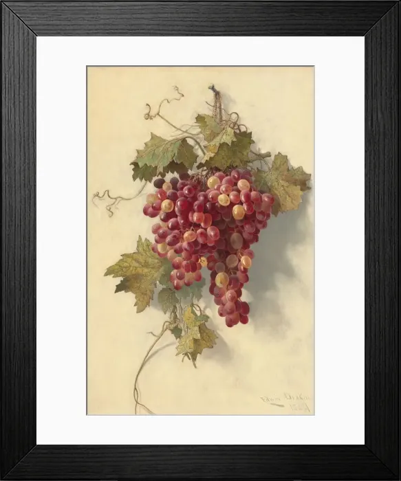 Framed Print : Grapes Against White Wall, 1883. Creator: Edwin Deakin Framed Print : Grapes Against White Wall, 1883. Creator: Edwin Deakin