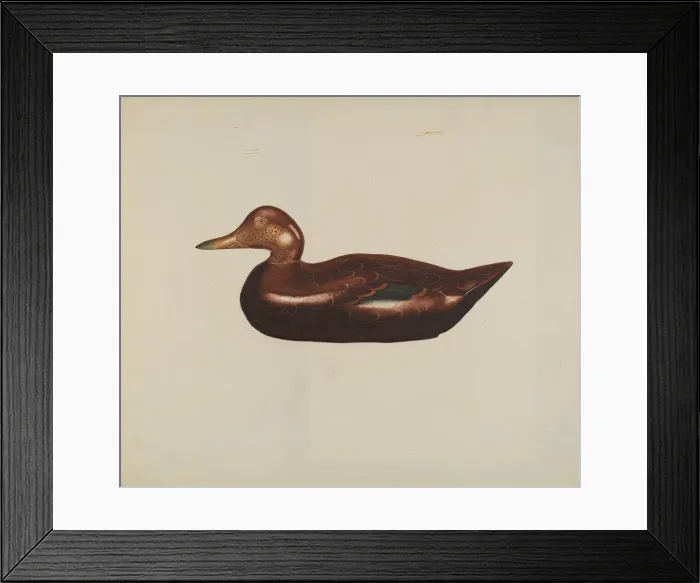 Framed Print : Wooden Duck, 1935 / 1942. Creator: Unknown Framed Print : Wooden Duck, 1935 / 1942. Creator: Unknown