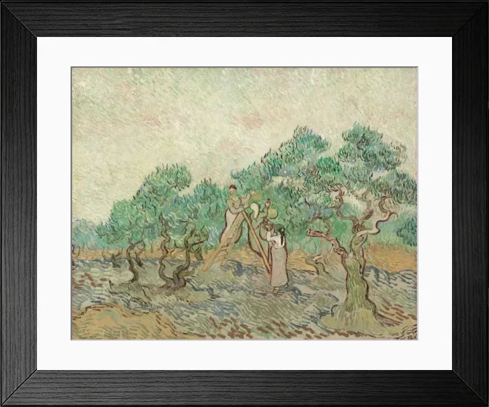 Framed Print : The Olive Orchard, 1889. Creator: Vincent van Gogh Framed Print : The Olive Orchard, 1889. Creator: Vincent van Gogh