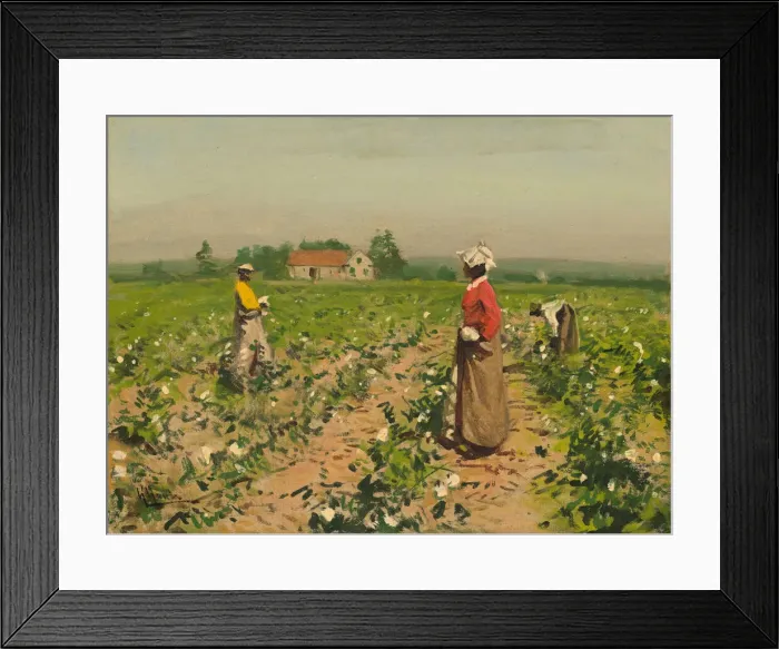 Framed Print : Picking Cotton, c. 1890. Creator: William Gilbert Gaul Framed Print : Picking Cotton, c. 1890. Creator: William Gilbert Gaul