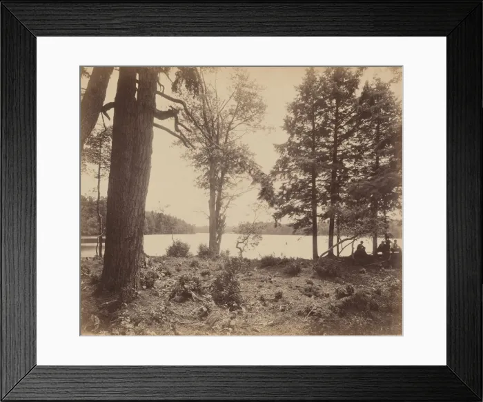 Framed Print : Ganoga Lake, c. 1895. Creator: William H Rau Framed Print : Ganoga Lake, c. 1895. Creator: William H Rau