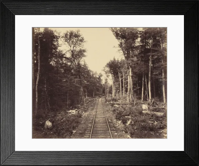 Framed Print : Ganoga Lake Branch, c. 1895. Creator: William H Rau Framed Print : Ganoga Lake Branch, c. 1895. Creator: William H Rau