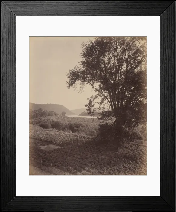Framed Print : Picturesque Susquehanna, Near Laceyville, c. 1895. Creator: William H Rau Framed Print : Picturesque Susquehanna, Near Laceyville, c. 1895. Creator: William H Rau