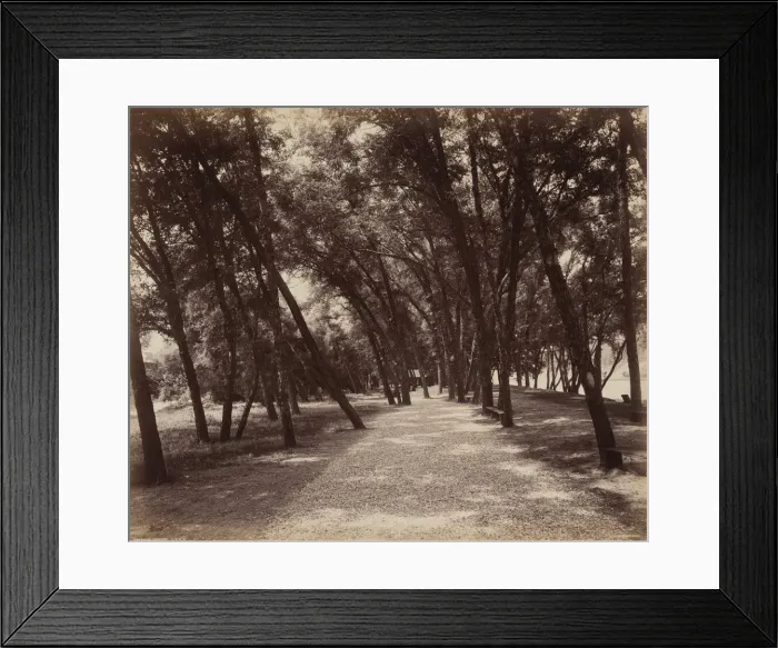 Framed Print : Picnic Grounds, c. 1895. Creator: William H Rau Framed Print : Picnic Grounds, c. 1895. Creator: William H Rau