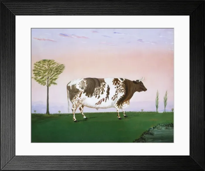 Framed Print : Prize Bull, 1876. Creator: H. Call Framed Print : Prize Bull, 1876. Creator: H. Call