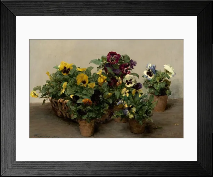 Framed Print : Pansies, 1874. Creator: Henri Fantin-Latour Framed Print : Pansies, 1874. Creator: Henri Fantin-Latour