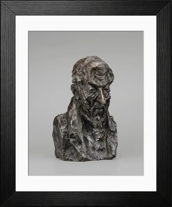 Framed Print : Alfred-Frederic-Pierre, Comte de Falloux, model possibly 1848 / 1850 Framed Print : Alfred-Frederic-Pierre, Comte de Falloux, model possibly 1848 / 1850