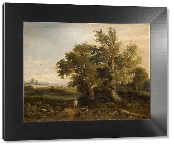 Landscape With Trees, 1863. Creator: Samuel Restell Lines