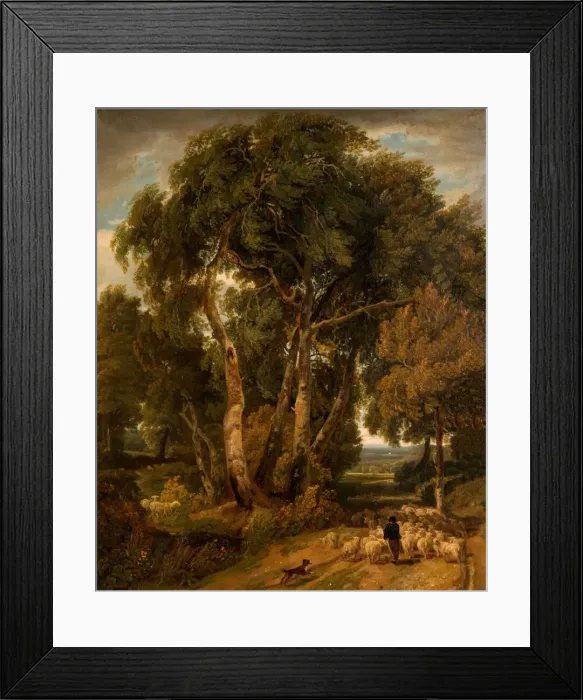 Framed Print : Driving Home The Flock, 1806. Creator: William Havell Framed Print : Driving Home The Flock, 1806. Creator: William Havell