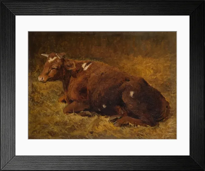Framed Print : A Cow Lying On The Ground, 1865-1872. Creator: Alfred Baker Framed Print : A Cow Lying On The Ground, 1865-1872. Creator: Alfred Baker