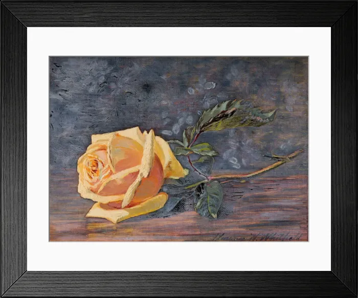Framed Print : Yellow Rose, 1887. Creator: Florence Westwood Whitfield Framed Print : Yellow Rose, 1887. Creator: Florence Westwood Whitfield