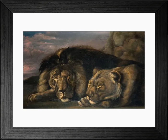 Framed Print : Sleeping Lion and Lioness 1823-1830. Creator: Samuel Raven Framed Print : Sleeping Lion and Lioness 1823-1830. Creator: Samuel Raven