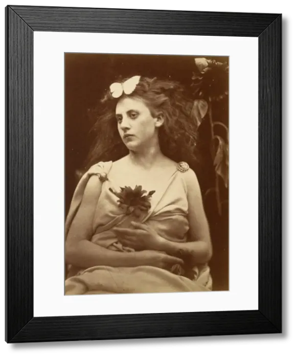 Framed Print : The Sunflower, early 1870s. Creator: Julia Margaret Cameron Framed Print : The Sunflower, early 1870s. Creator: Julia Margaret Cameron