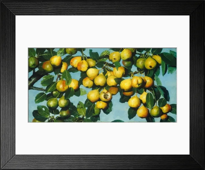 Framed Print : Ripening Pears, c. 1884 / 1885. Creator: Joseph Decker Framed Print : Ripening Pears, c. 1884 / 1885. Creator: Joseph Decker