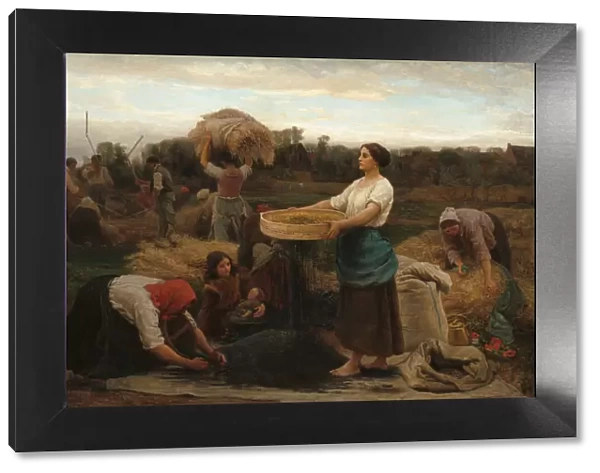 The Colza (Harvesting Rapeseed), 1860. Creator: Jules Breton