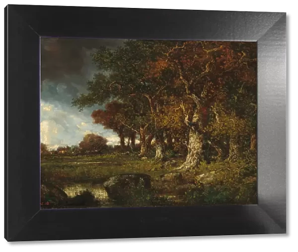 The Edge of the Forest at Les Monts-Girard, Fontainebleau, 1868. Creator: Narcisse Virgile Diaz de la Pena