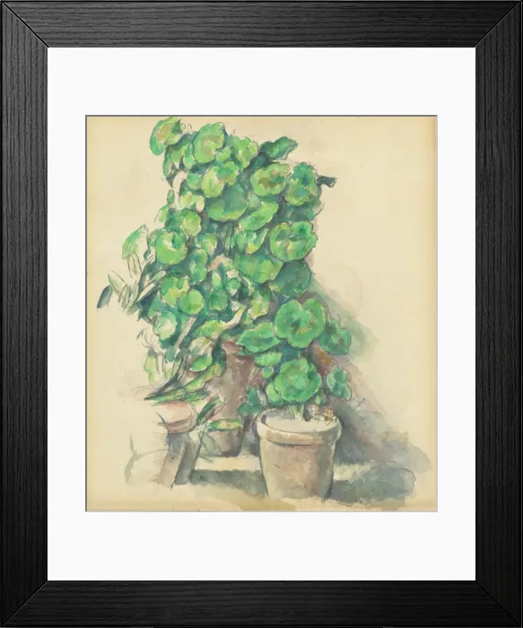 Framed Print : Geraniums, 1888 / 1890. Creator: Paul Cezanne Framed Print : Geraniums, 1888 / 1890. Creator: Paul Cezanne
